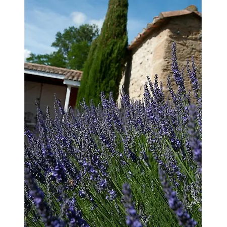 La Petite Aiguebonne 2* Allex